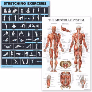Stretching exercise poster