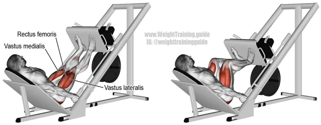 How to do leg press