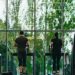 Two adults running on treadmills in front of a large window.