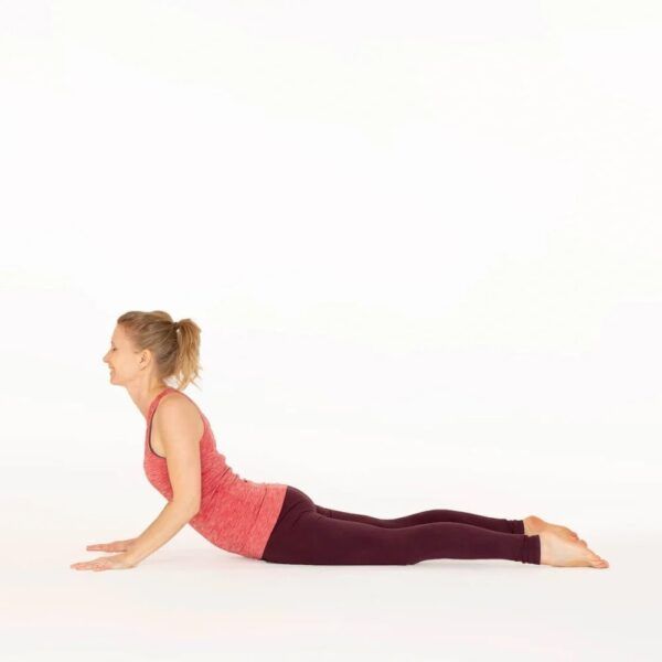 Cobra pose yoga