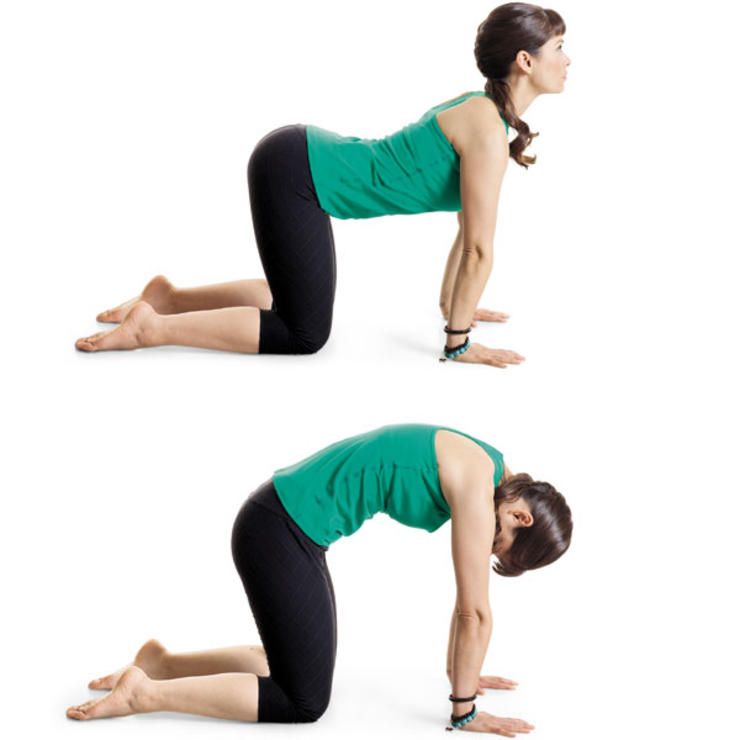 Cat cow yoga pose